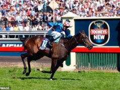La legendaria campeona de la Copa de Melbourne, Makybe Diva, murió a los 26 años, dejando al mundo del automovilismo de luto por un ícono histórico de las tres vueltas.