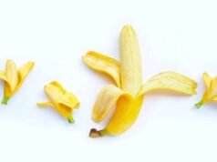 6 hechos únicos sobre los órganos íntimos masculinos rara vez conocidos, el número 5 es el más sorprendente