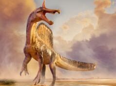 MIRAR: Los científicos descubren nuevas especies de dinosaurios del tamaño de un T-Rex