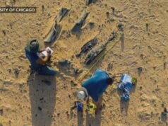 MIRAR: Nuevas especies de dinosaurios descubiertas en las profundidades del desierto del Sahara