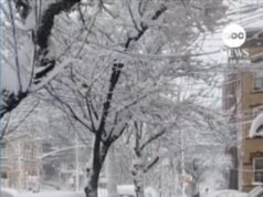 MIRAR: Nieve fresca cubre el noreste después de una tormenta de nieve