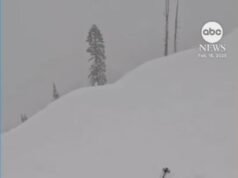 MIRAR: Amigos rescatan a un hombre enterrado en la nieve mientras esquiaba en Palisades Tahoe