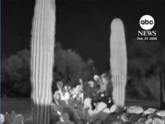 Aparece un nuevo vídeo de coche en la investigación de Nancy Guthrie