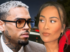 La mamá bebé de Chris Brown y su novia actual van y vienen en las redes sociales