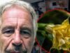 Los correos electrónicos de Jeffrey Epstein hacen referencia a las plantas tóxicas ‘drogas zombis’ que guardaba