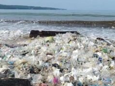 Enseñanza de Protección Ambiental, Dirección General de Ciencias Políticas y Políticas, Ministerio del Interior invita a estudiantes a limpiar las playas de Bali