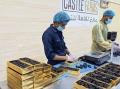 Dátiles y agua viva al romper el ayuno, Sunnah del Profeta llena de sabiduría