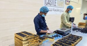 Dátiles y agua viva al romper el ayuno, Sunnah del Profeta llena de sabiduría