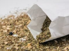 La FPBM anima a SKMT a unirse al régimen especial de impuestos especiales de Madura