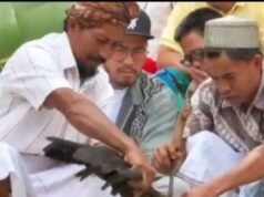 El momento en que Pandji Pragiwaksono pide disculpas a 32 representantes tradicionales de Toraja, multados con 1 cerdo y 5 gallinas