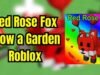 Guía completa del zorro rosa rojo en el cultivo de un jardín: cómo conseguirlo y sus beneficios