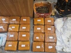 Hombre arrestado en el estacionamiento de Alfamart Kebon Jeruk, en el oeste de Yakarta, supuestamente almacenando 18 kg de marihuana