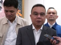 Actualmente compilando manuscritos académicos.