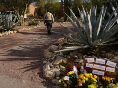 La desaparición de Nancy Guthrie