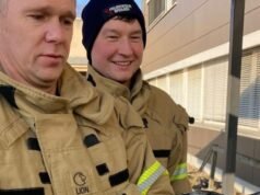 Ave marina herida picotea la puerta de la sala de urgencias, lo que provoca su propio rescate