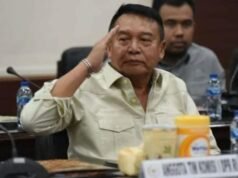 Después de ingresar a la balanza de pagos, ¿puede Irán aceptar a Indonesia como facilitador?